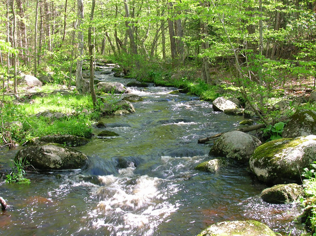 ESU watershed_management image